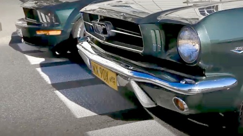 Mustangs