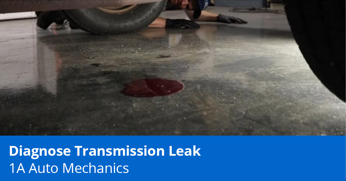 Find a Transmission Fluid Leak - Reddish Fluid Leaking from Car - 1A Auto