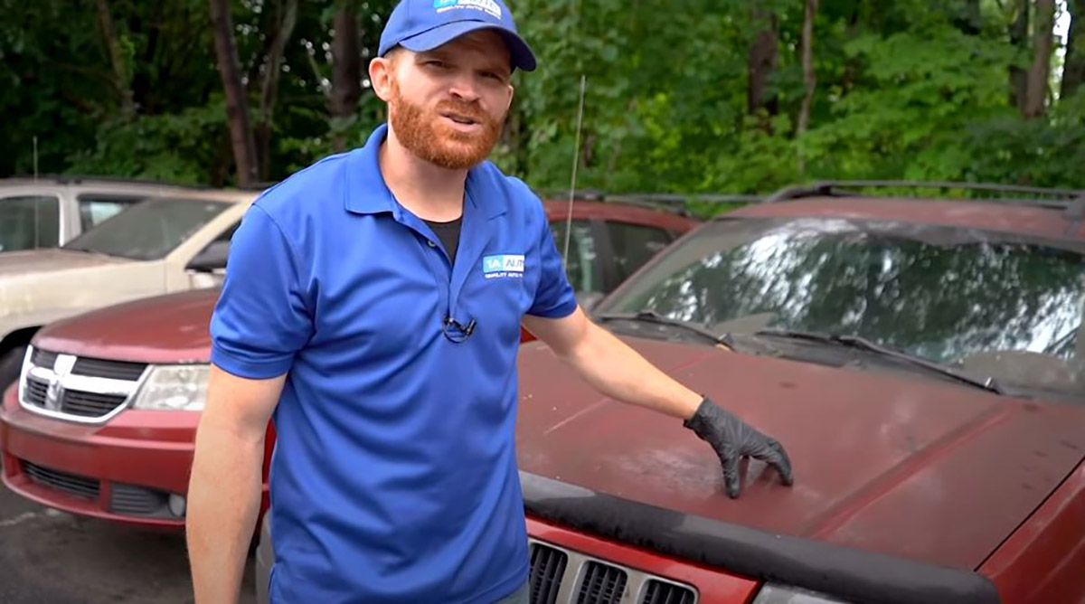 How to Remove Tree Sap from Your Car - Expert Advice - 1A Auto
