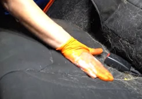 Removing dog hair from a car seat with tape