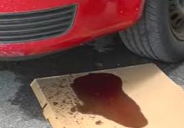 Car leaking red fluid from the front